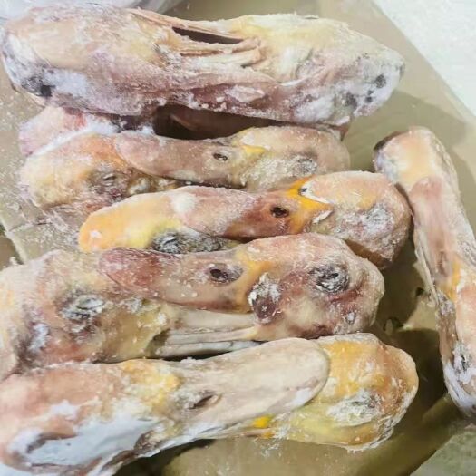 莒南县二级番鸭头优惠精品鸭头大鸭头二级鸭头厂家直销