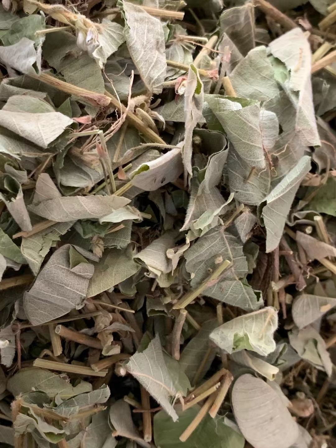 玉林大货供应｛广金钱草｝可批量可零售量大从优【包邮】