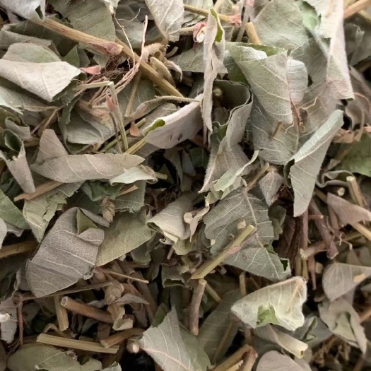 大货供应｛广金钱草｝可批量可零售量大从优【包邮】