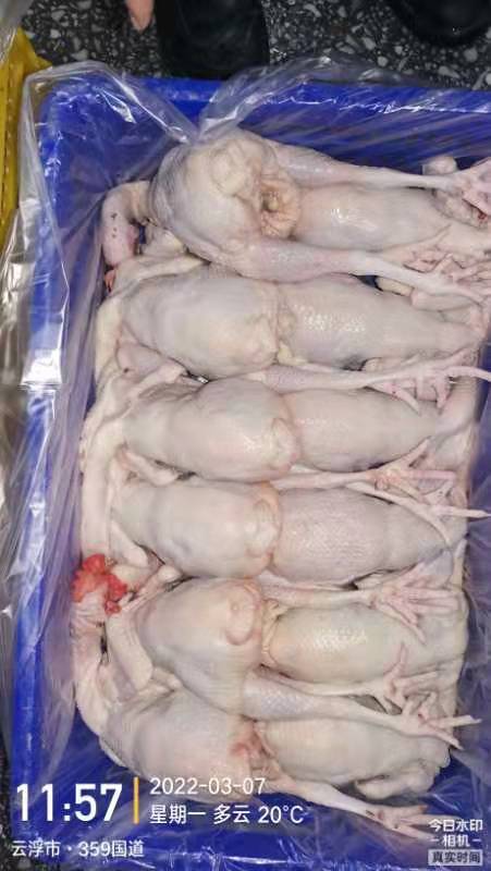 广州鸡肉   文昌鸡
