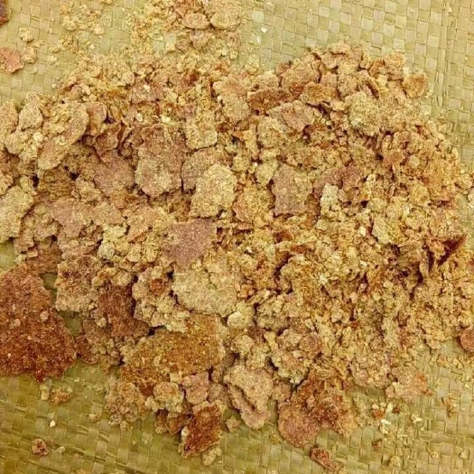 正定县玉米胚芽饼，河北山东东北厂家直发！