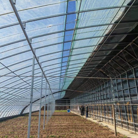 泊头市大棚配件 温室大棚 温室养殖蔬菜花卉大棚 四季温室大棚厂家供应