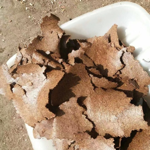 正定县饼粕饲料 二级花生饼