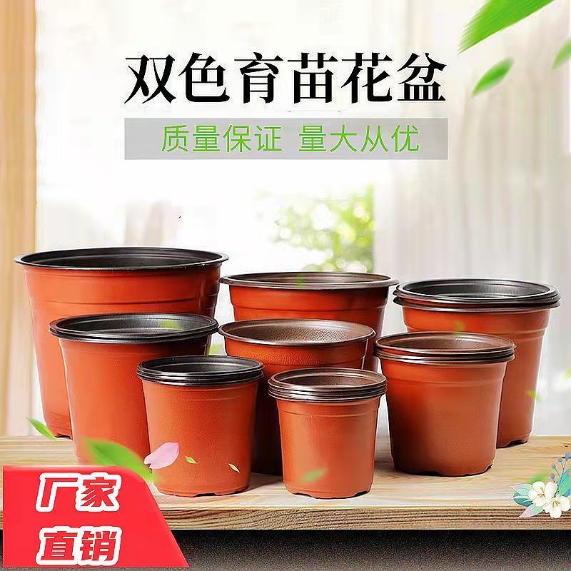 廠家直銷雙色盆批發(fā)一次性塑料花盆育苗盆營養(yǎng)缽抗老化扦插