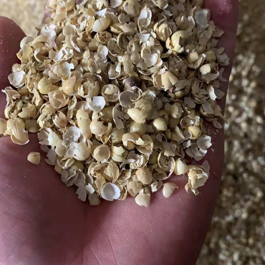 石家庄豆壳 优质大豆皮