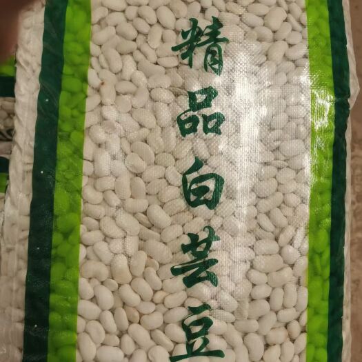 玉龙县丽江高原白芸豆 隔离地区种植 欢迎参观选购