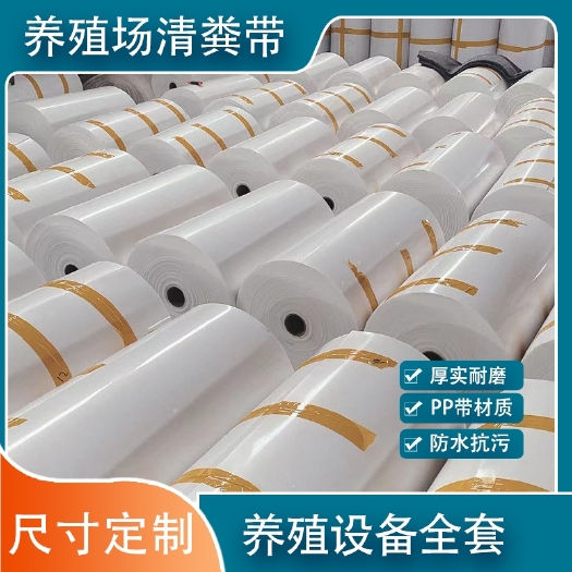 德州畜牧饲养设备  鸡粪传送带鸡场清粪带PP材质鸡舍用白色输送带