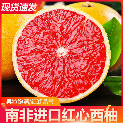 顺丰新鲜南非 西柚 当季采摘现摘现发