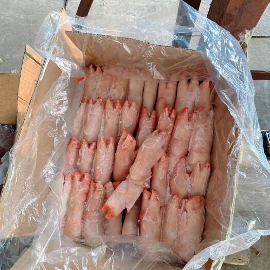 商丘猪蹄 肥猪一级小蹄40-50