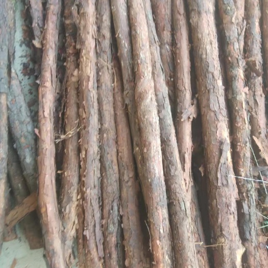 荆门山木香杆