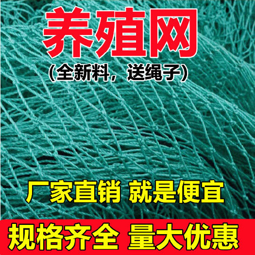 沭阳县养鸡网家禽养殖网拦鸡鸭网防鸟网爬藤网菜园果园网护栏网天