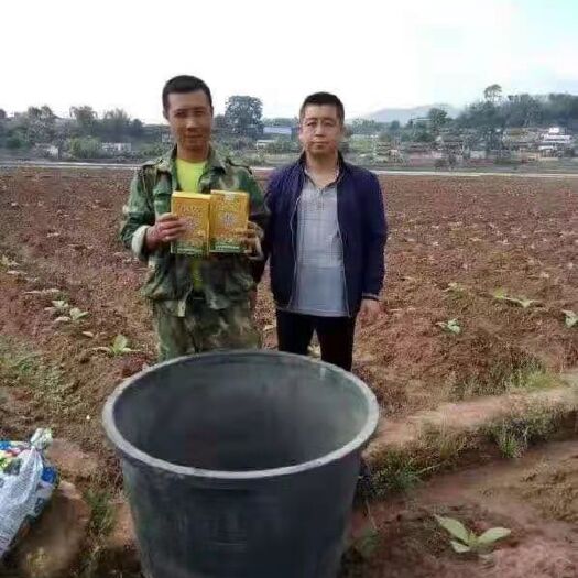凌源市膨果套餐 矿源黄腐酸+大量元素+微量元素