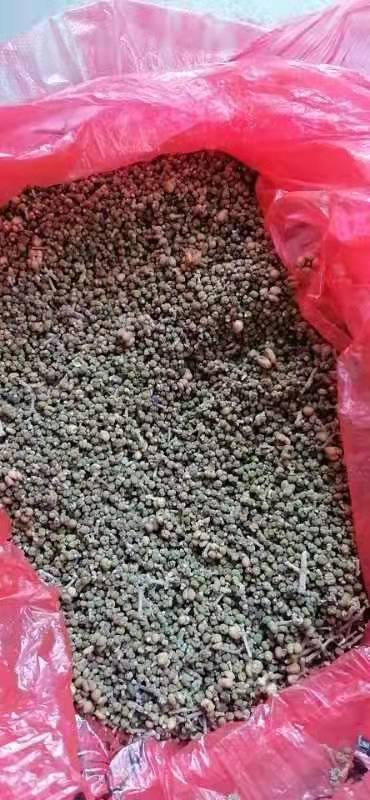 普宁市吴茱萸产地直销    大中小花都有货。主要集产地，江西。