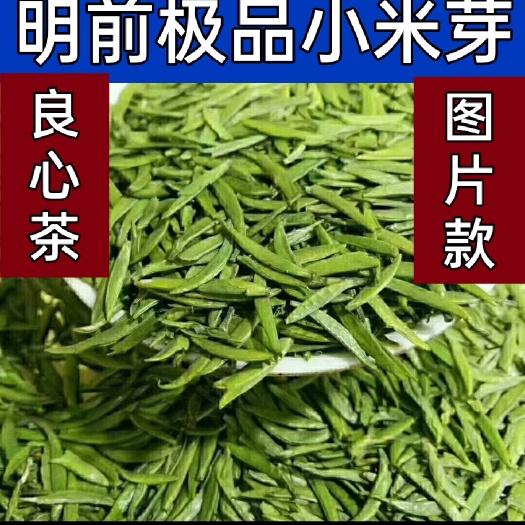 荣县雀舌茶 2022年明前新茶叶 雅安蒙顶山茶叶 特级雀舌 小米