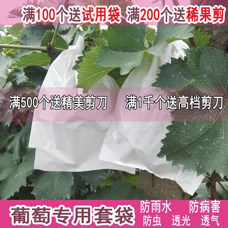 露天用葡萄专用套袋葡萄纸袋葡萄袋子葡萄套袋防雨防病防虫袋包