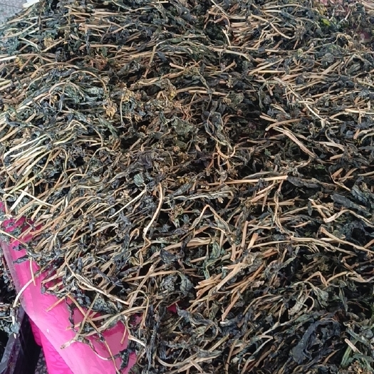 湘潭县山油菜 白油菜干