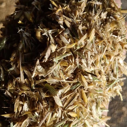 石家庄 油麦糠