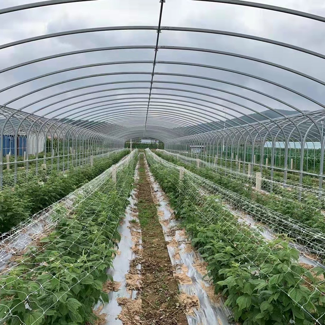 种植大棚 葡萄防雨棚，价格底，质量好，防腐性能强，抗风抗压