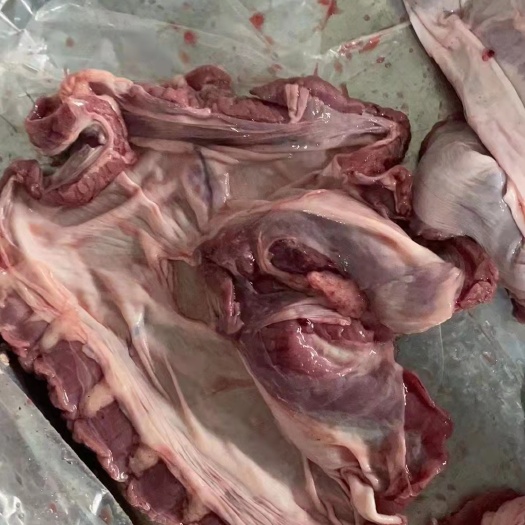 郑州猪心 肥猪护心肉12吨，低价出，想要的老板联系