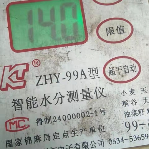 海兴县黄玉米粒 玉米粒 ≥720g/L 水份14%-16% 9个粮以上 