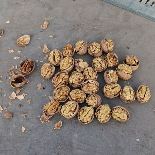 阿克苏市薄皮核桃 新疆维吾尔自治区阿克苏地区阿克苏市 袋装 3-6个
