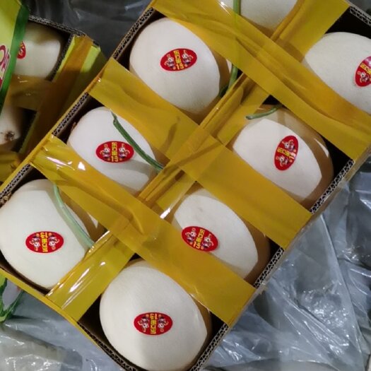 莘县红金密洋香瓜 山东省聊城市莘县高质量红金密蜜瓜