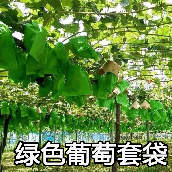 露天用葡萄专用套袋葡萄纸袋葡萄袋子葡萄套袋防雨防病防虫袋包