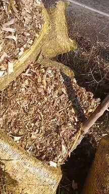 铁岭县 玉米秸秆草块，人工铡段，过夏草
