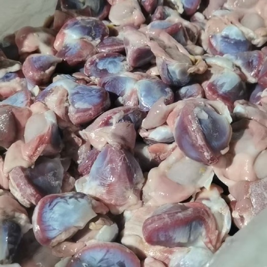 广州鹅胗  鹅肾，鹅杂