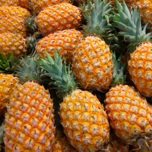 【9斤】大菠萝新鲜大果菠萝凤梨小菠萝水果