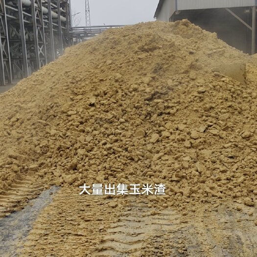 安丘市玉米渣 玉米蛋白湿渣