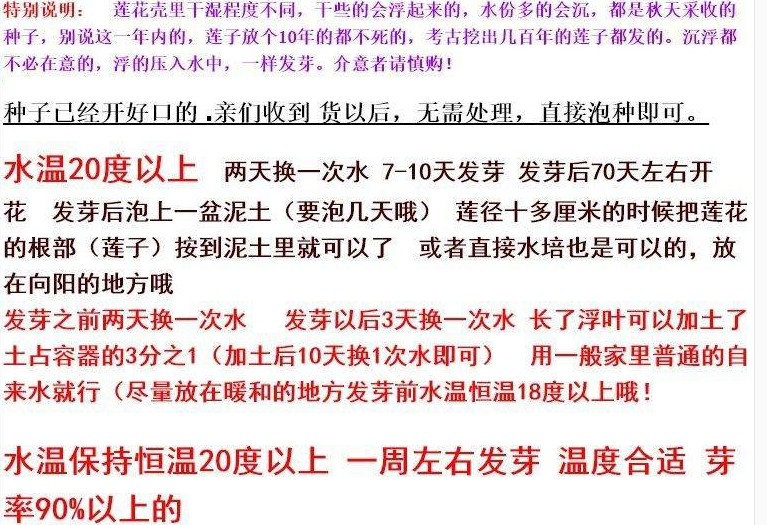 荷花种子 红荷花莲子种子莲藕种苗食用池塘观赏河道绿化盆栽