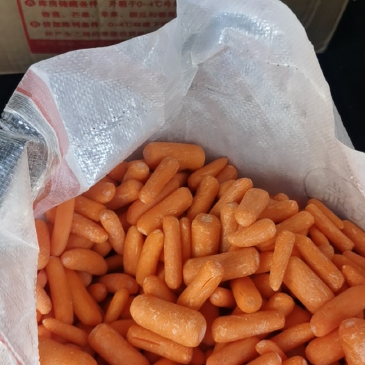 武威手指胡萝卜 宠物饲料维生素(切片胡萝卜)