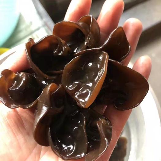  木耳