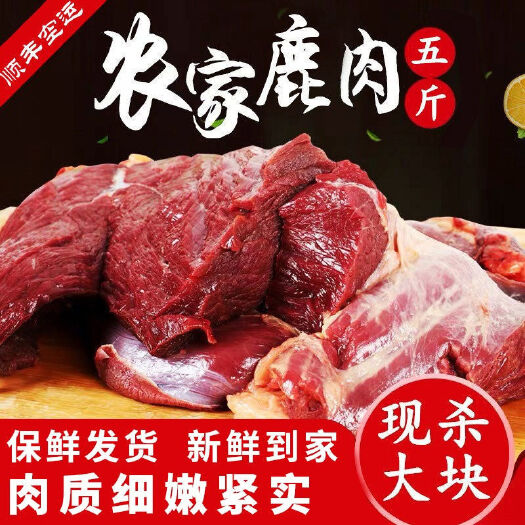 临沂鹿肉【梅花鹿肉疯狂热销中】现杀新鲜鹿肉鹿腿肉鹿肉五斤冷链包
