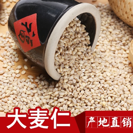 麦仁