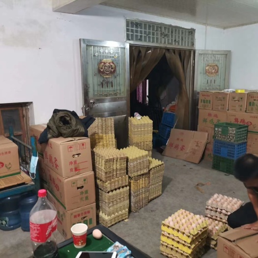 常州普通鸡蛋 礼品包装，批量件