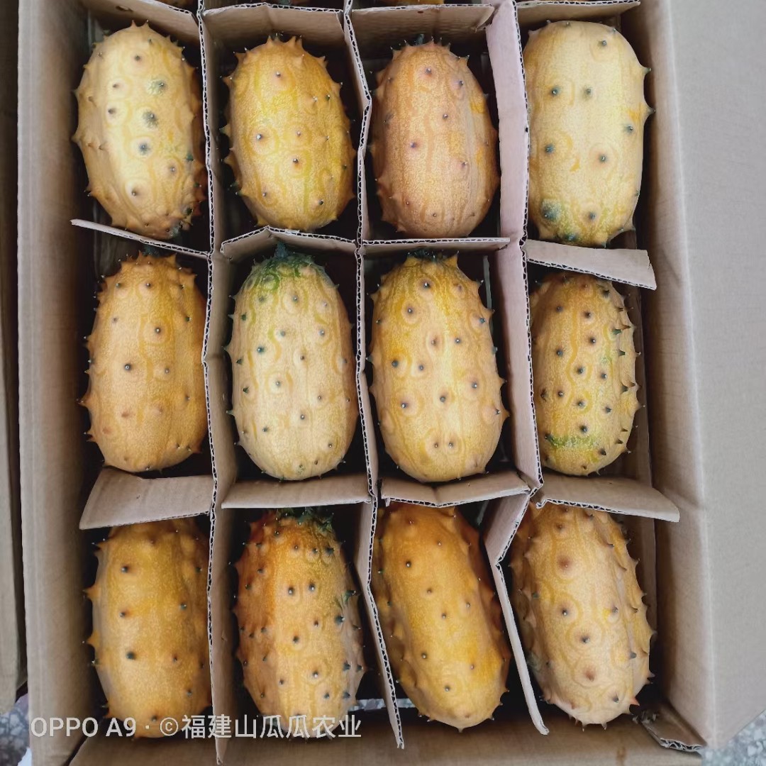 大田县刺角瓜，火参果，64个优惠整箱装。满满都是果胶，号维c小霸