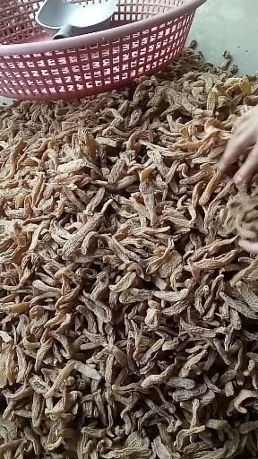 宁强县当季无硫自然晒干天麻各种规格按需发货