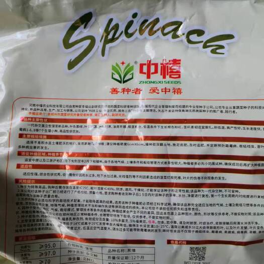 菠菜种子