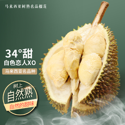  马来西亚名品种白色恋人XO榴莲液氮冷冻精选A果保3房带壳