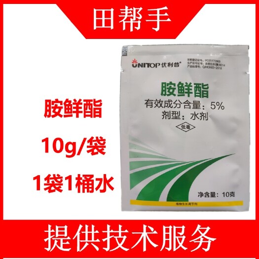 5%胺鲜酯10克袋装农药植物生长调节剂小白菜调节生长