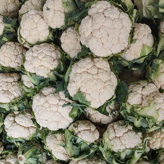 城固县花菜 汉中菜花大量上市