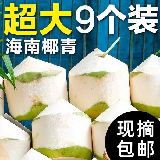 万宁市海南去皮大果椰青椰子超划算一个顶两个超大果适合椰子火锅店饮品