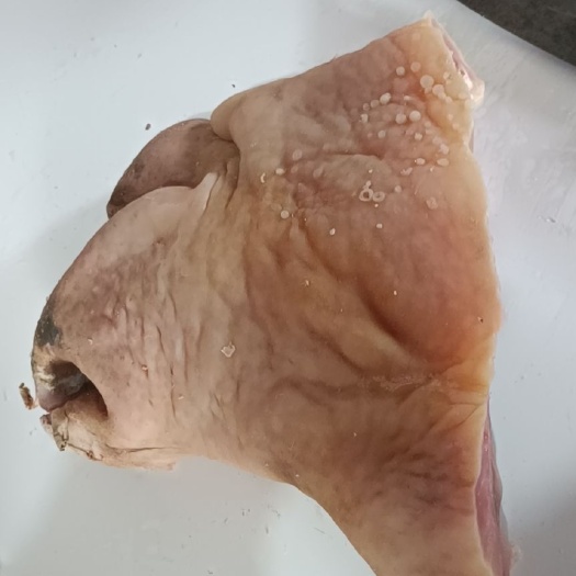 博爱县清真，牛嘴巴