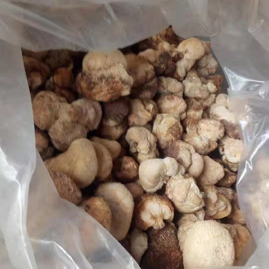 海林市 干猴头菇 猴头菇批发 打粉猴头菇原料 做提取用猴头菇批发