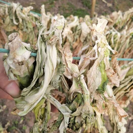 南充芥菜干 干菜叶，干儿菜、芥菜、大头菜、榨菜等