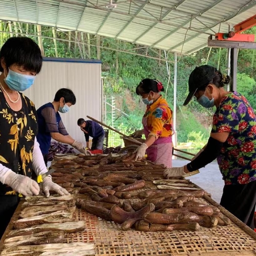 耒阳市 湖南茄子干/干茄子