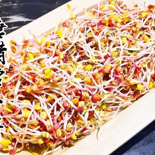 寿光市新鲜蔬菜，七彩萝卜芽
