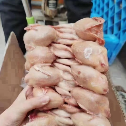 临沂鹌鹑烧烤烤肉食材料理